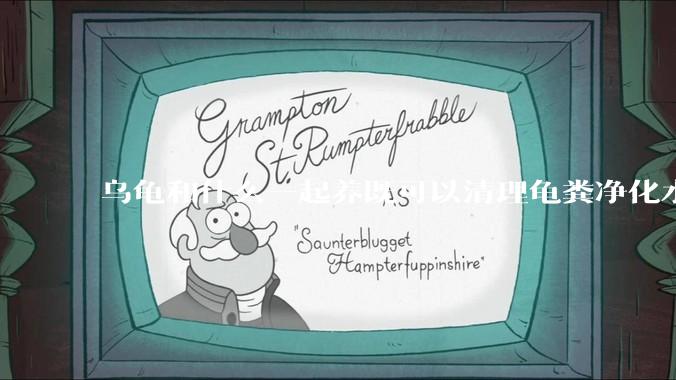 乌龟和什么一起养既可以清理龟粪净化水质又可以当龟食物？