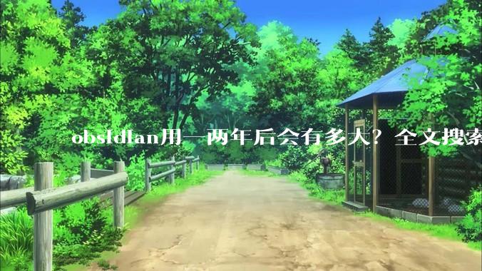 obsidian用一两年后会有多大？全文搜索还快吗？