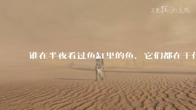 谁在半夜看过鱼缸里的鱼，它们都在干什么？