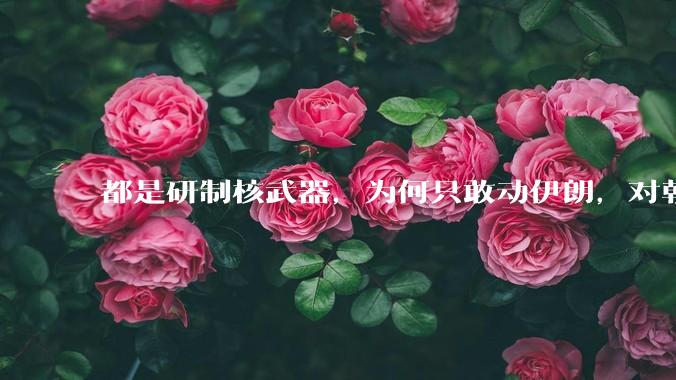 都是研制核武器，为何只敢动伊朗，对朝鲜确畏首畏尾？