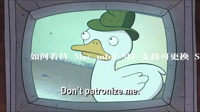 如何看待 Mac mini M4 支持可更换 SSD？