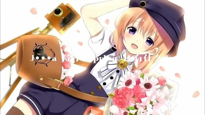 J***a 除了 Spring 还有什么？