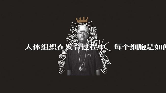 人体组织在发育过程中，每个细胞是如何确定自己在宏观结构是的位置的？