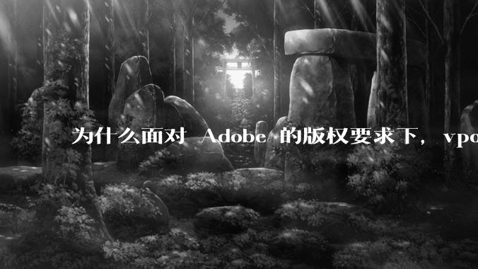 为什么面对 Adobe 的版权要求下，vposy 大神还能从容不迫？