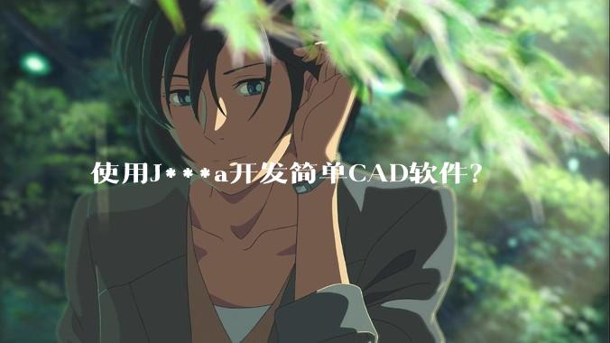 使用J***a开发简单CAD软件？