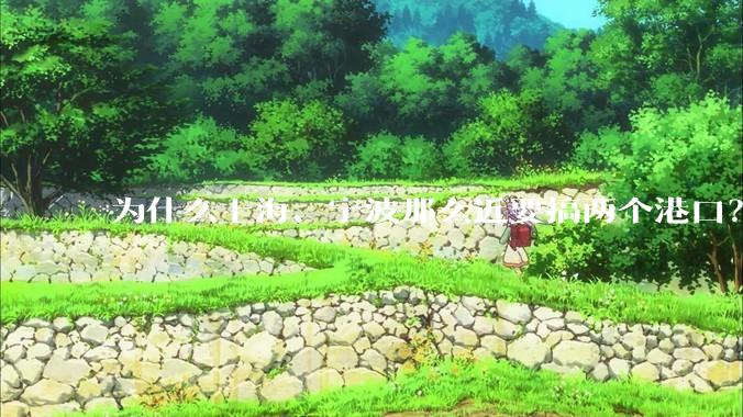 为什么上海、宁波那么近要搞两个港口？不会恶性竞争么？