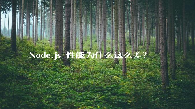 Node.js 性能为什么这么差？