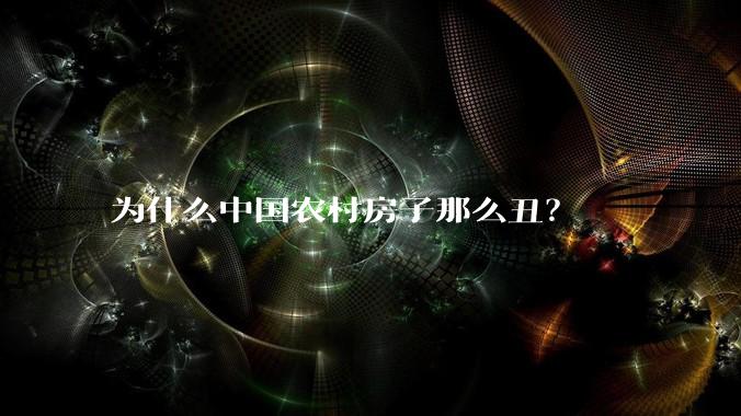 为什么中国农村房子那么丑？