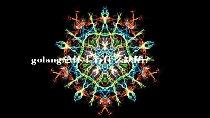 golang总体上有什么缺陷？