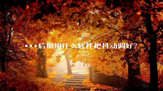 ***后期用什么软件把抖动调好？